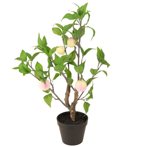 Floristik24 Pêcher en pot avec 4 fruits Artificiel H53cm