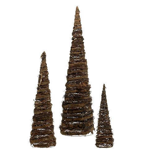 Floristik24 Cônes végétaux naturels lot de 3 40x10/60x15/80x20cm