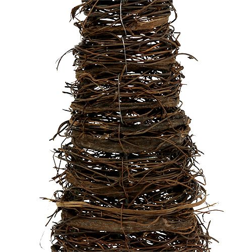Floristik24 Cônes végétaux naturels lot de 3 40x10/60x15/80x20cm