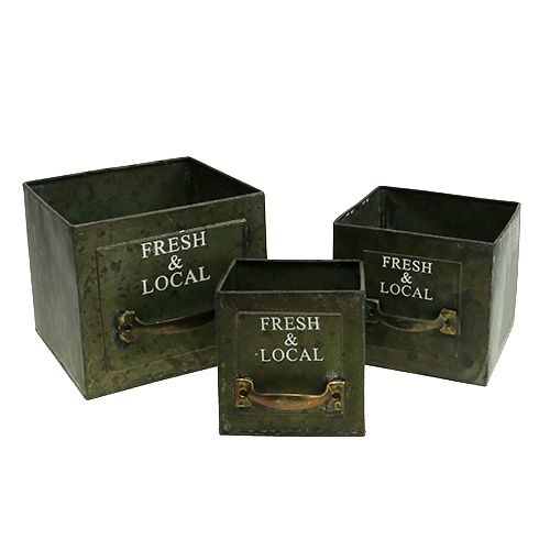 Floristik24 Plant Sheet Drawer Set of 3 Antique Green