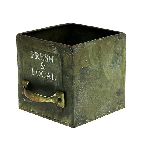 Floristik24 Plant Sheet Drawer Set of 3 Antique Green