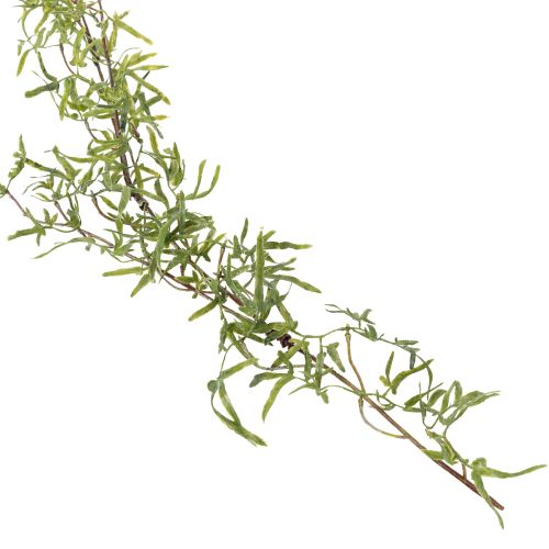 Article Guirlande d'asperges pour une décoration festive et élégante, 170 cm