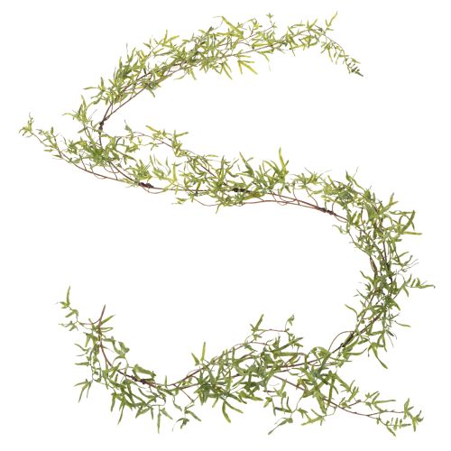 Article Guirlande d'asperges pour une décoration festive et élégante, 170 cm