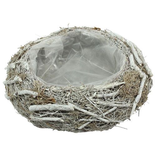 Floristik24 Coupelle à plantes grise Ø 25 cm