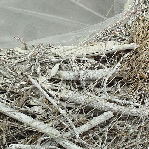 Floristik24 Coupelle à plantes grise Ø 25 cm