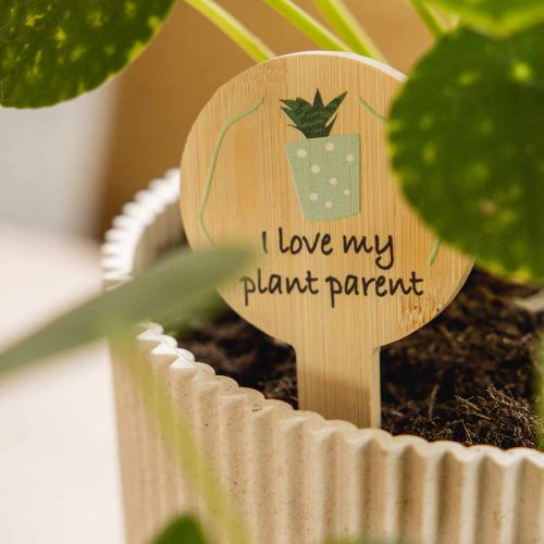 ProductNameLot de 12 étiquettes à plantes en bambou, 11 x 6 cm, motifs végétaux et messages humoristiques/ProductName
ProductDescription
<h2>Étiquettes à plantes en bambou pour décorer et repérer vos pots</h2>
<p>Ce lot comprend 12 étiquettes décoratives  | Floristik24.fr