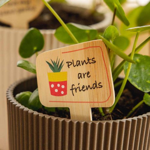 ProductNameLot de 12 étiquettes à plantes en bambou, 11 x 6 cm, motifs végétaux et messages humoristiques/ProductName
ProductDescription
<h2>Étiquettes à plantes en bambou pour décorer et repérer vos pots</h2>
<p>Ce lot comprend 12 étiquettes décoratives  | Floristik24.fr