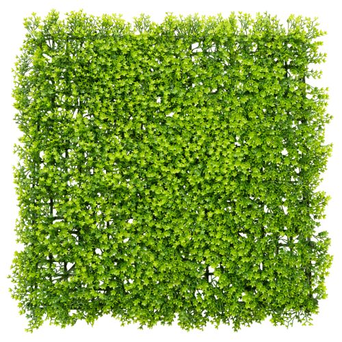 Plante Artificielle Buisson Carré 55x55 cm pour Décoration Murale acheter | Floristik24.fr