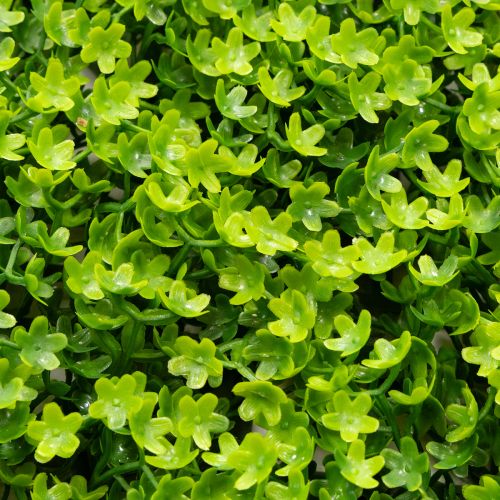 Plante Artificielle Buisson Carré 55x55 cm pour Décoration Murale | Floristik24.fr