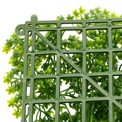 Plante Artificielle Buisson Carré 55x55 cm pour Décoration Murale | Floristik24.fr