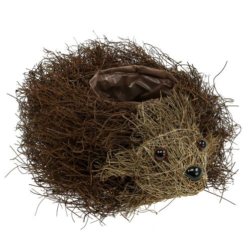 Floristik24 Jardinière hérisson en vignes 22cm x 25cm