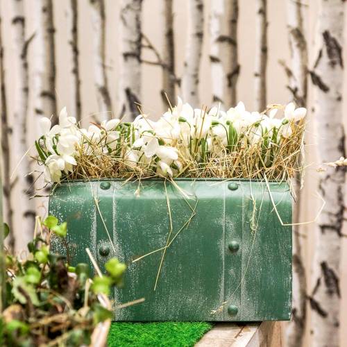 Floristik24 Jardinière avec anse métal vert, blanchi blanc H20cm