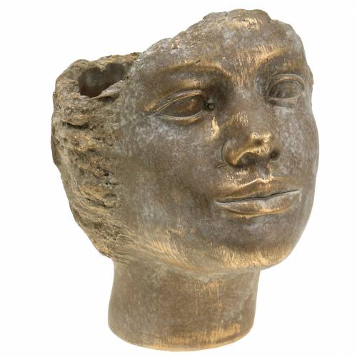 Floristik24 Tête de jardinière buste de plante or H24cm