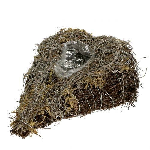 Floristik24 Cœur à garnir en sarments de vigne et lichen naturel 25 x 19 cm