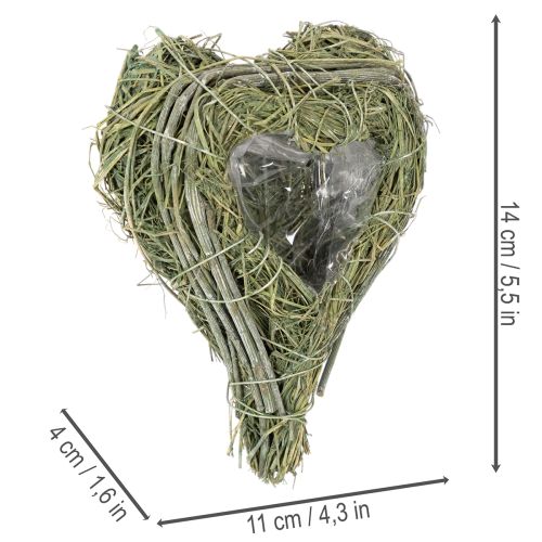 Duo de cœurs en herbe naturelle avec revêtement plastique 14 cm | Floristik24.fr