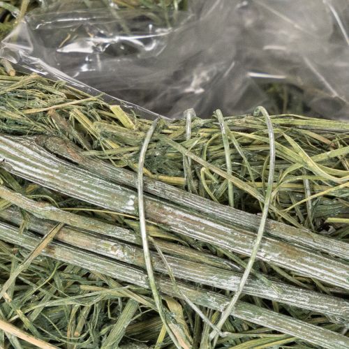 Duo de cœurs en herbe naturelle avec revêtement plastique 14 cm | Floristik24.fr