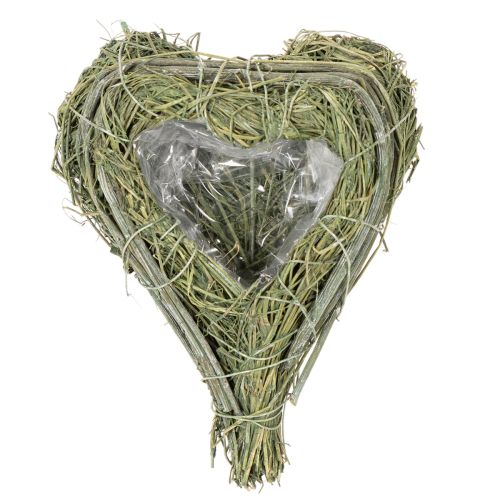 Duo de cœurs en herbe naturelle avec revêtement plastique 14 cm | Floristik24.fr