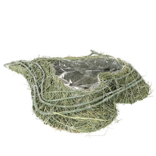 Coupe cœur en herbe naturelle avec film plastique, 38 cm, vert | Floristik24.fr