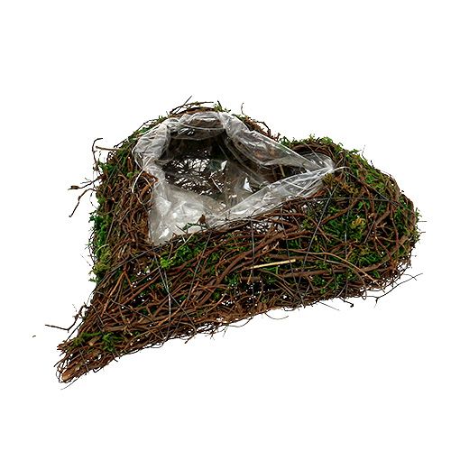 Article Plante coeur vigne, mousse 22cm x 25cm H7cm