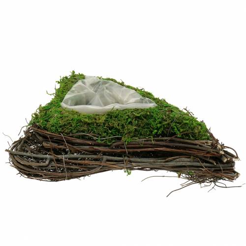 Floristik24 Plante coeur vigne, mousse 26×36cm H9cm