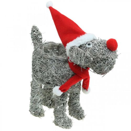 Article Chien à planter, décoration de Noël, panier à plantes, Avent H30cm L29.5cm