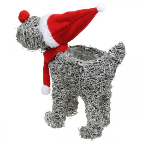 Article Chien à planter, décoration de Noël, panier à plantes, Avent H30cm L29.5cm