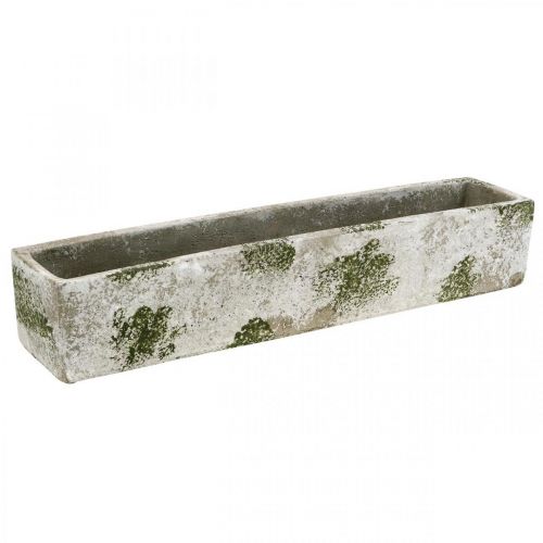 Floristik24 Jardinière en béton aspect antique Bac à fleurs rectangulaire 40×8×7cm