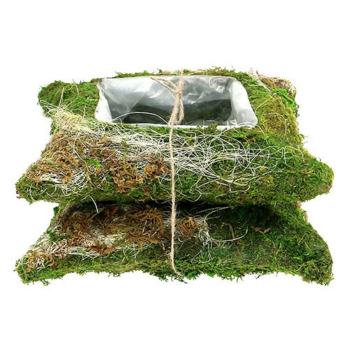 Floristik24 Coussin végétal mousse 25cm x 25cm 2pcs