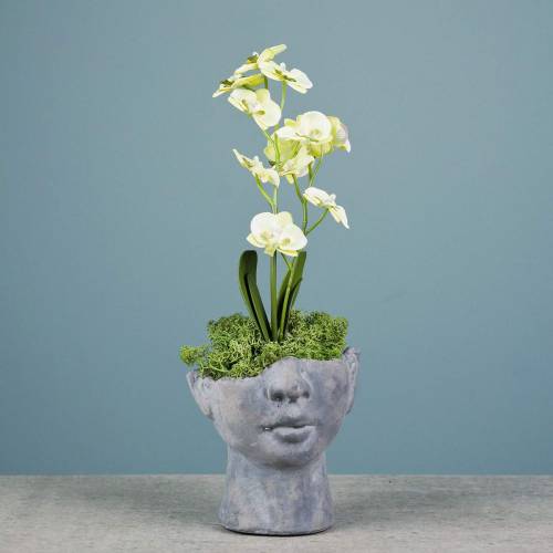 Floristik24 Buste de tête de plante en béton pour plantation gris H13cm 2pcs