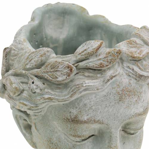 Article Buste tête de plante gris-bleu Ø8cm H15cm