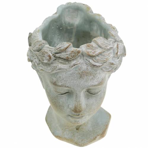 Article Buste tête de plante gris-bleu Ø8cm H15cm