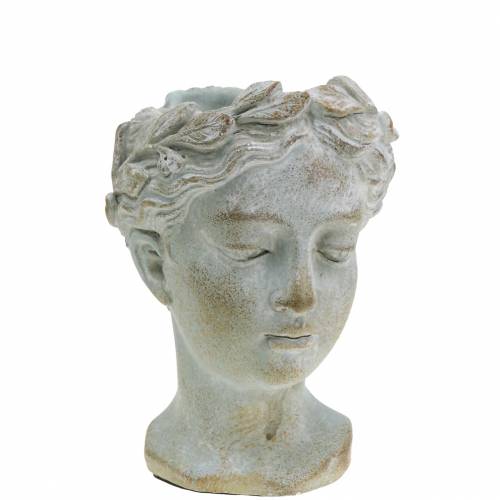 Article Buste tête de plante gris-bleu Ø8cm H15cm