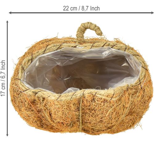 Article Panier à plantes citrouille décoration d'automne orange Ø22cm H17cm