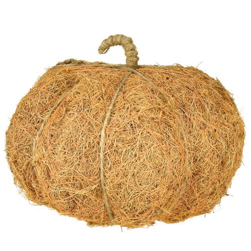 Article Panier à plantes citrouille décoration d'automne orange Ø22cm H17cm