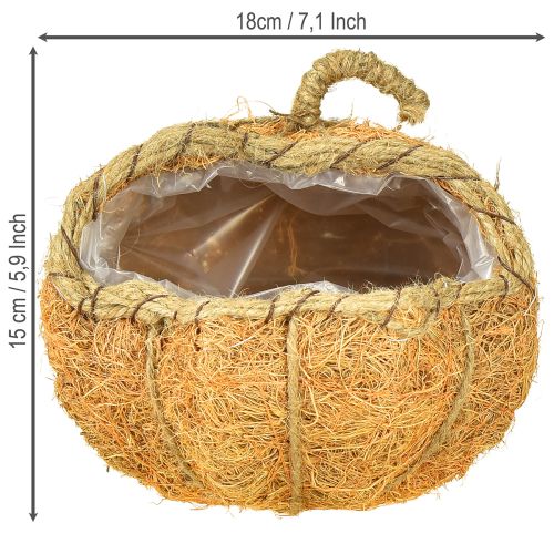 Article Panier à plantes citrouille avec décoration d'automne en aluminium orange Ø18cm H15cm