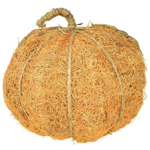 Article Panier à plantes citrouille avec décoration d'automne en aluminium orange Ø18cm H15cm
