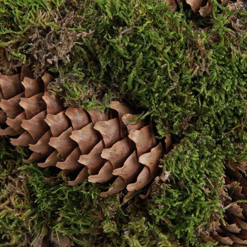 Article Panier à plantes panier à cônes d'épicéa mousse avec anse Ø32cm H42cm