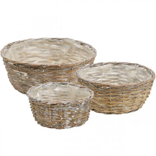 Floristik24 Panier à plantes panier en osier blanc lavé Ø21,5/26/Ø31cm lot de 3