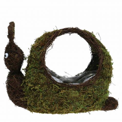 Floristik24 Panier à plantes mousse d'escargot marron 29x13cm H23cm