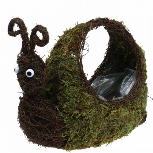 Floristik24 Panier à plantes mousse d'escargot marron 29x13cm H23cm