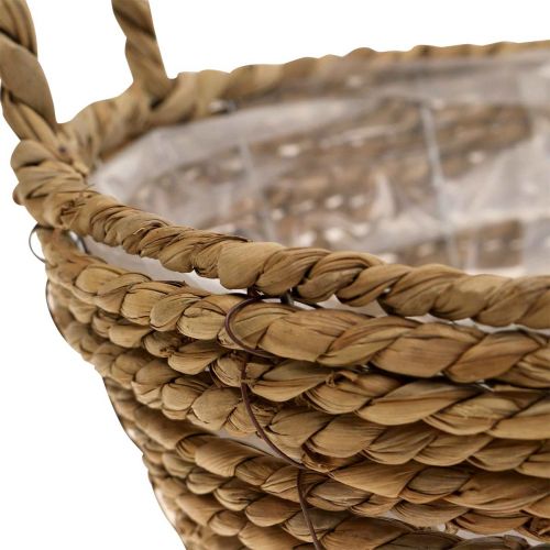 Floristik24 Panier à plantes rond en jonc de mer avec anses panier décoratif Ø25cm H9cm