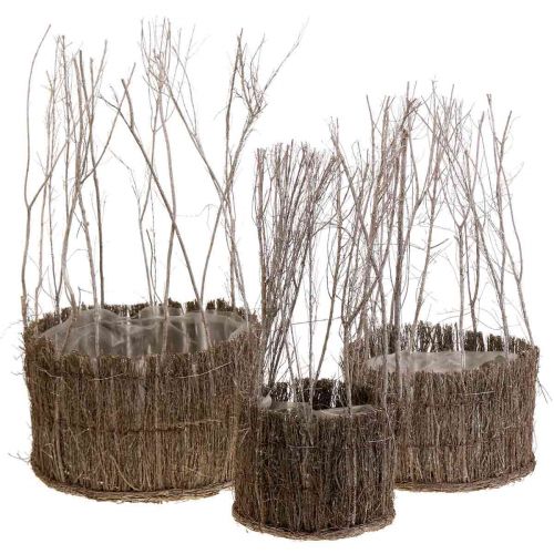 Floristik24 Panier à plantes en brindilles blanchies Ø15-25cm lot de 3