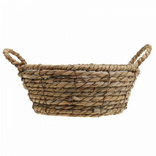 Floristik24 Panier à plantes rond en jonc de mer avec anses panier décoratif Ø25cm H9cm