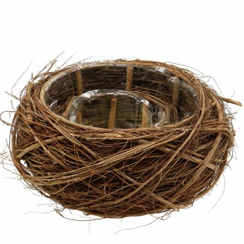 Floristik24 Panier à plantes vigne et brindilles naturel Ø37/28cm, lot de 2