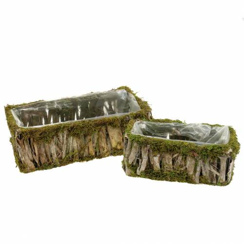 Floristik24 Panier de plantation mousse angulaire, écorce 34 × 15,5 / 24,5 × 11 cm, lot de 2