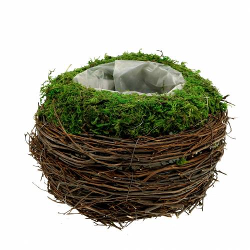 Floristik24 Jardinière rotin, mousse Ø16cm H11cm