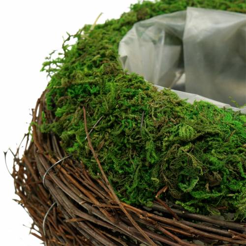 Floristik24 Jardinière rotin, mousse Ø16cm H11cm