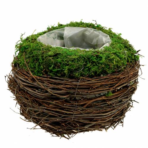 Floristik24 Jardinière en rotin, mousse Ø19cm H13cm