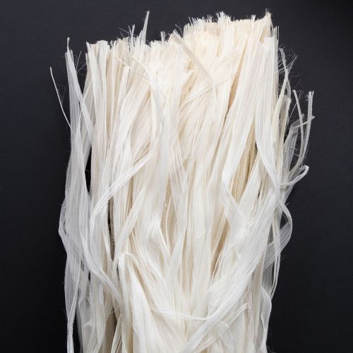 Floristik24 Ruban squelette en fibres naturelles végétales, ruban décoratif naturel 180 g