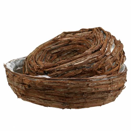 Floristik24 Anneau végétal écorce naturel coupelle Ø50/43cm lot de 2